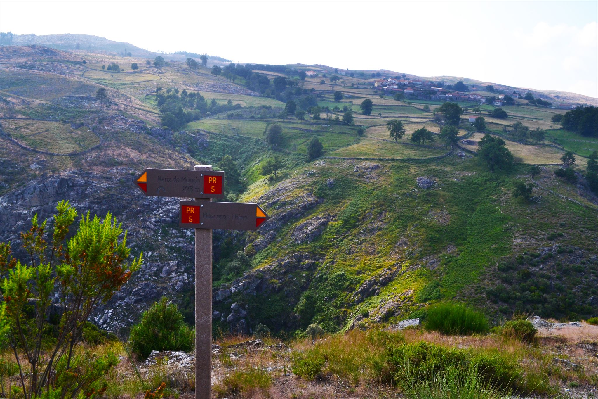 294e5813-fbeb-4d3b-9917-2cdff524964e